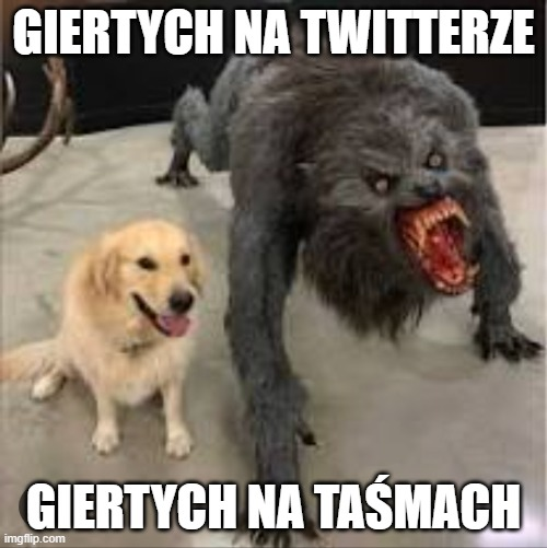 Gtlivc_WoAEL1_r?format=png&name=small