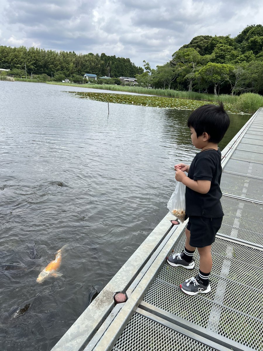 aaari625's tweet photo. 金曜、土曜と連続で餌やりに行ったときの🐟子供ってこういうの好きだよね〜って感じなんだけど、子供より私の方がこういうの好き！どこに行っても動物の餌やりは基本的にお金惜しまない主義💰 https://t.co/IwDgs3cqON