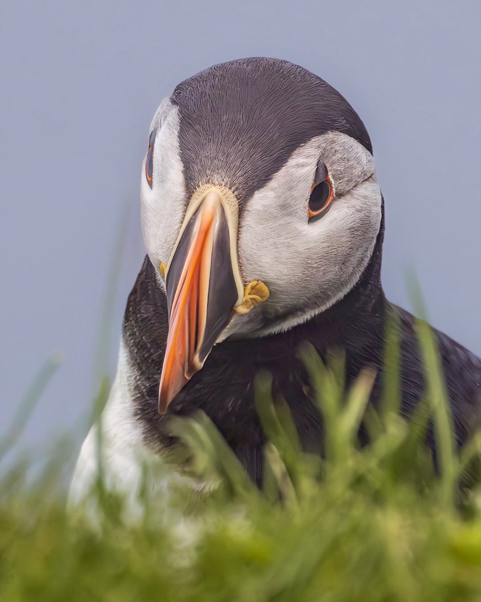 David Rocaberti tweet media