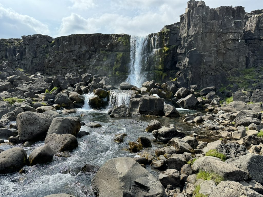 Alex Frank tweet media