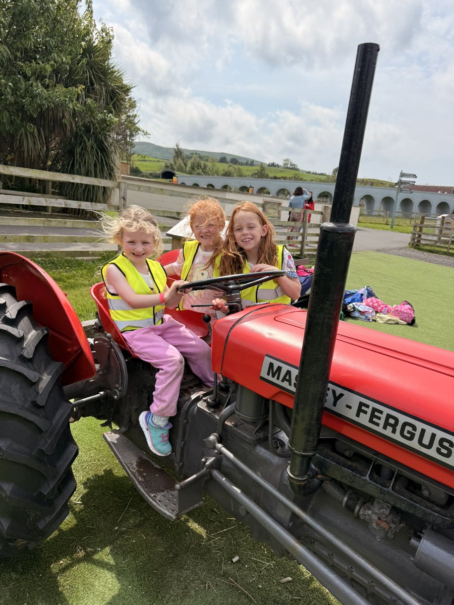 P1/2 had the best day at the farm park today!
