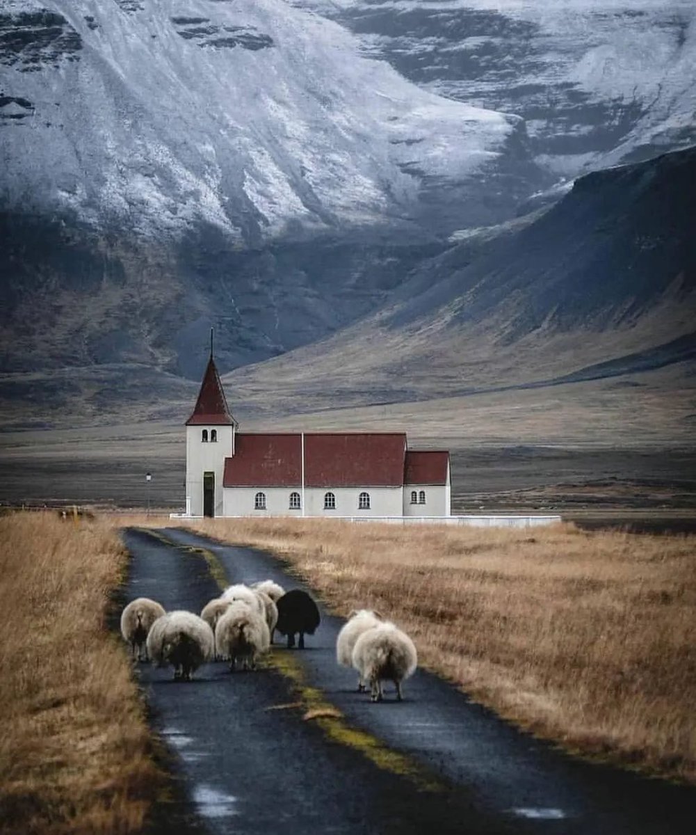Iceland 🇮🇸