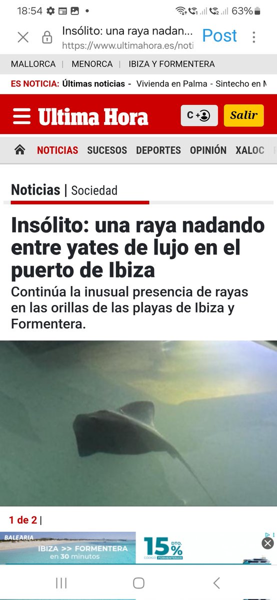 Raya, yates de lujo, Ibiza..., això passa cada dia, lo insòlit és "nadando" aquesta no l'esperàvem 😂😂😂