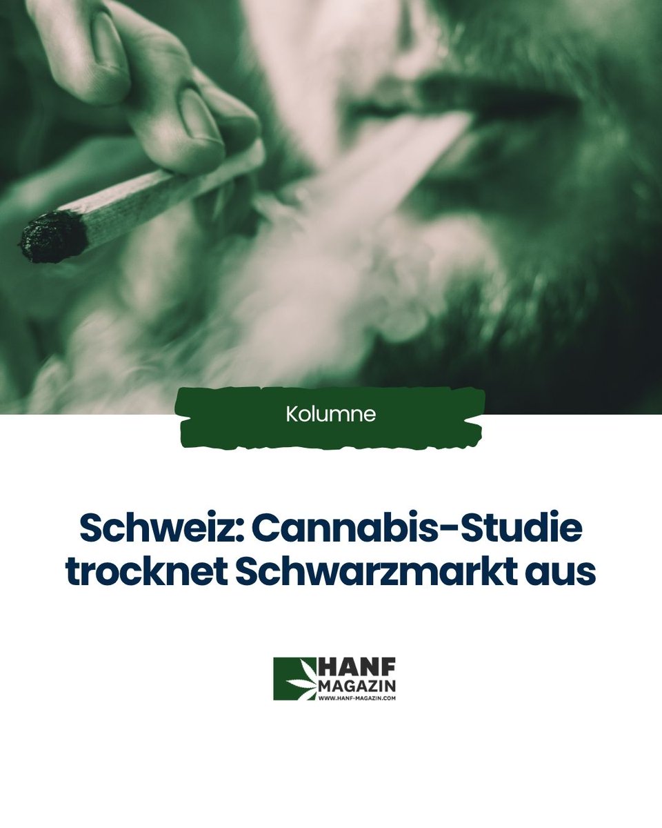🇨🇭 Die Schweiz zeigt, wie Legalisierung geht: 4400 Menschen, eine Studie – &amp; der Schwarzmarkt trocknet aus 💡🌿 #Hanfmagazin #Cannabis #THC

hnf.link/Qac9