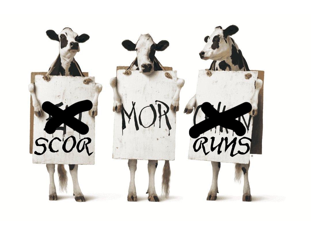 Chris Duderstadt (@chrisduderstadt) on Twitter photo 