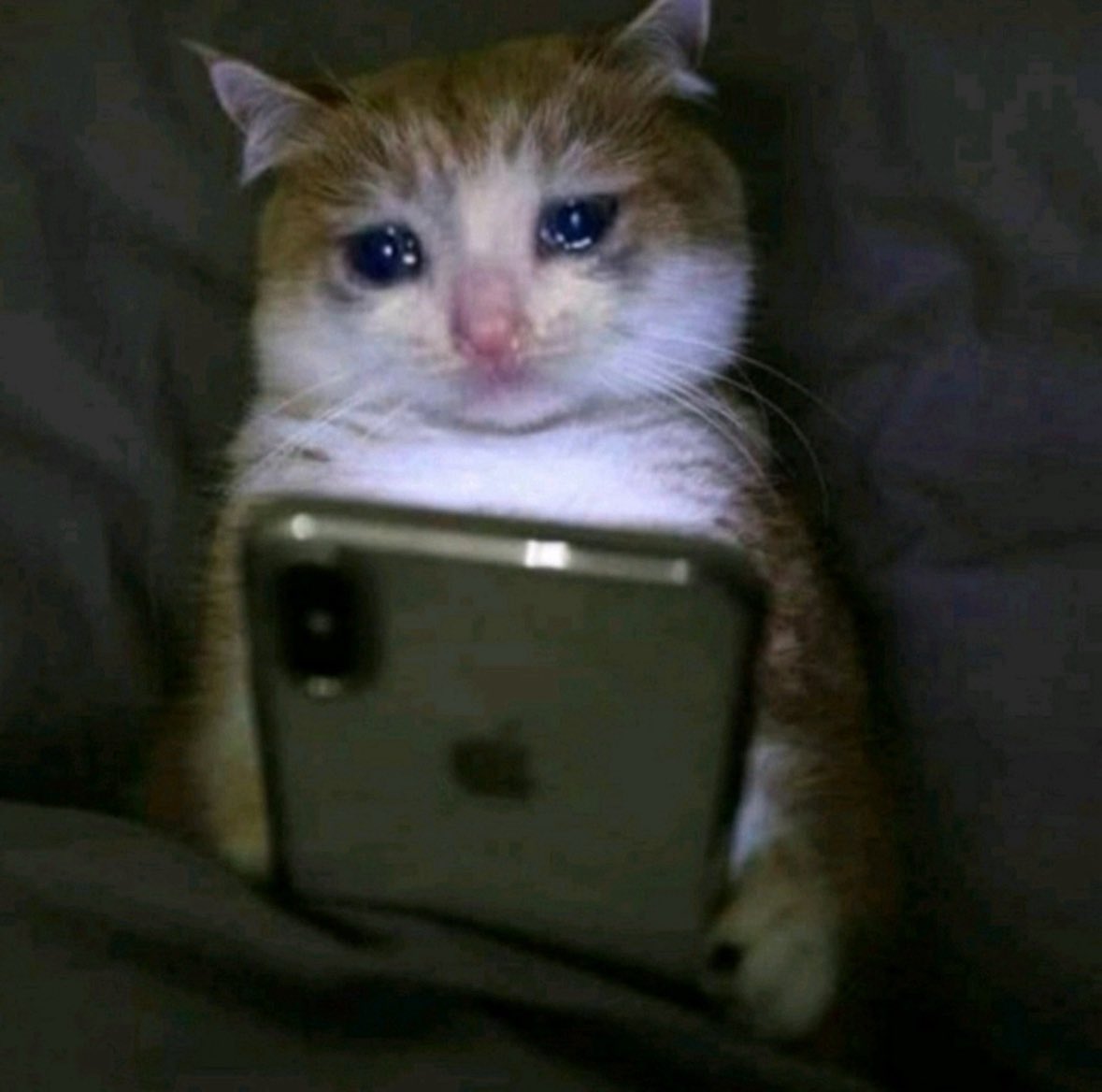 reading everyone’s cute sappy heartwarming post-NAIC posts 🥹