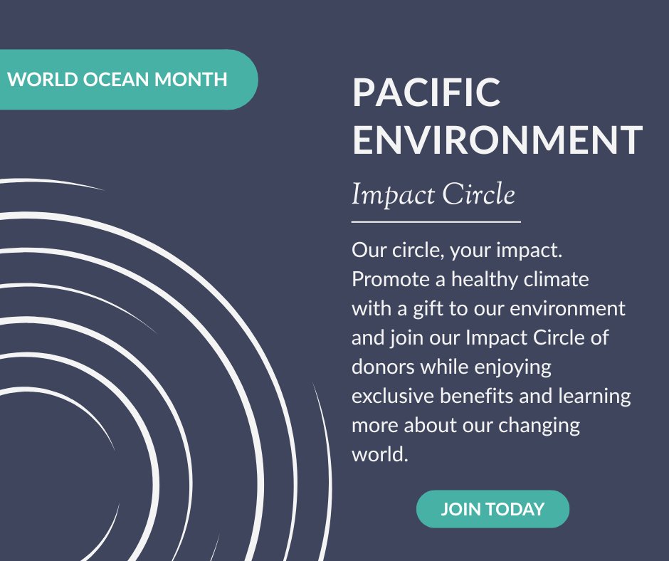 It’s not too late to make a difference for your environment. We're excited to welcome you to our Impact Circle of donors, protecting the planet one gift at a time. 🌀

This year, your gift is automatically DOUBLED for maximum impact. Visit pacificenvironment.org/impact-circle to learn more.