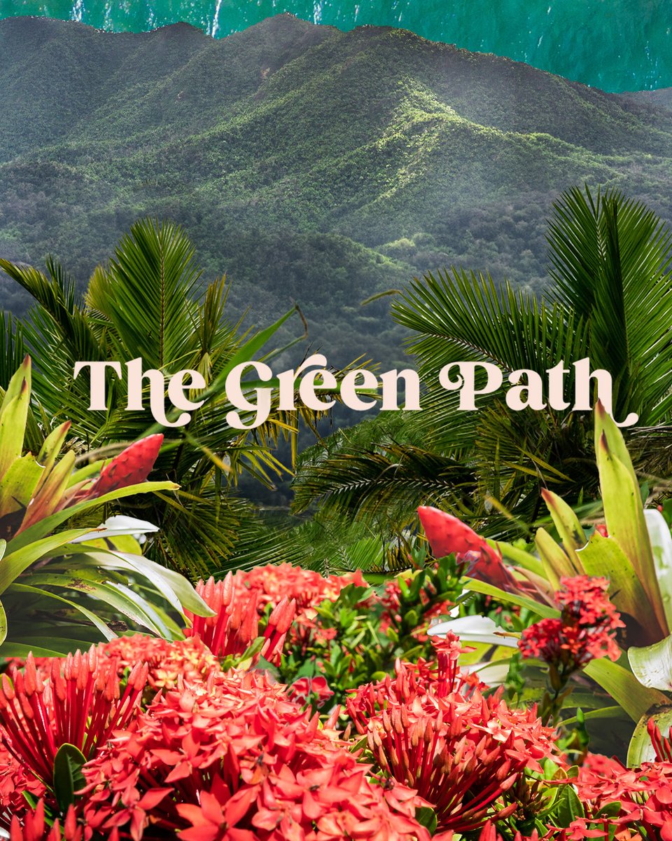 MeetingsInPR's tweet photo. Meetings with meaning start with mindful choices. 💚🌍 Say hello to #DiscoverPuertoRico’s first-ever microsite: #TheGreenPath—our guide to traveling responsibly and making a positive impact while getting to know the Island. Tap here: https://t.co/idzexvXFCl to learn more. https://t.co/dJIVRqsqyw