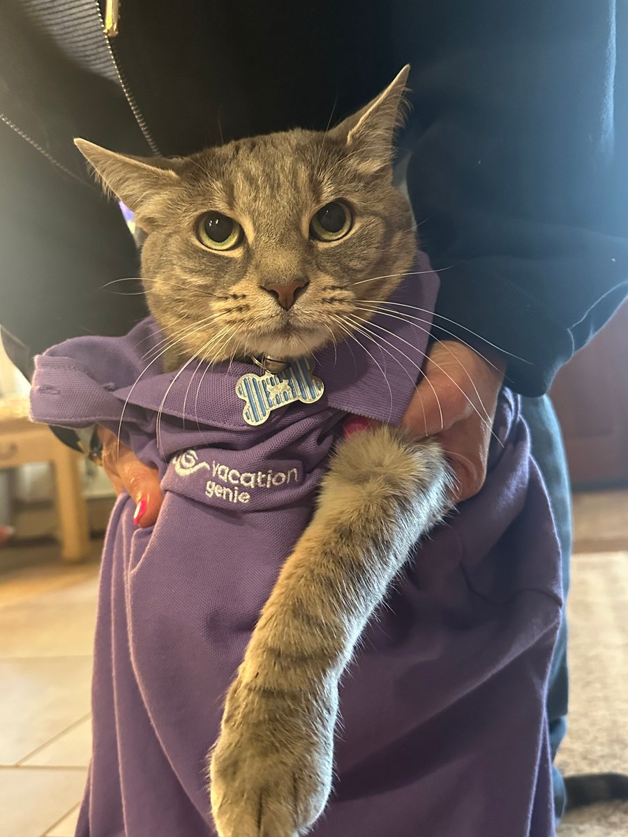 Vacation Genie tweet media