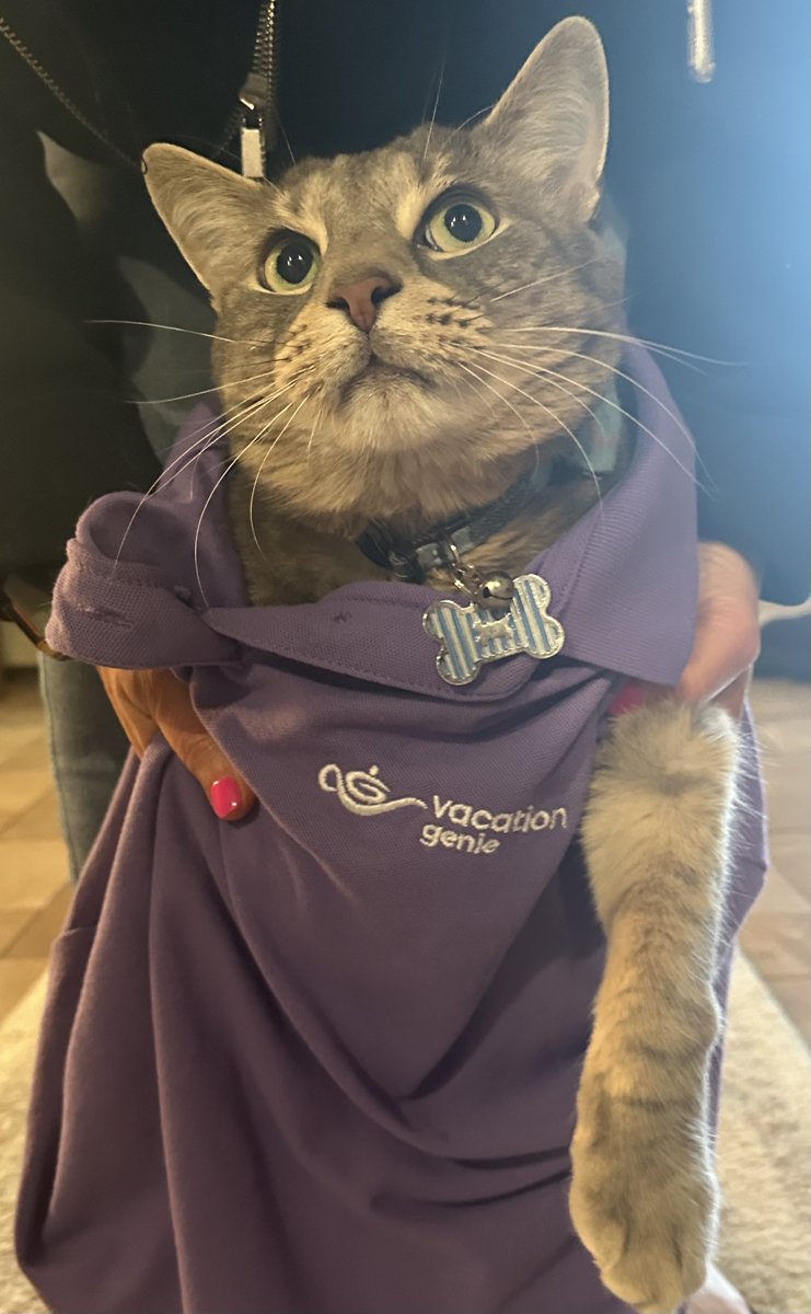 Vacation Genie tweet media