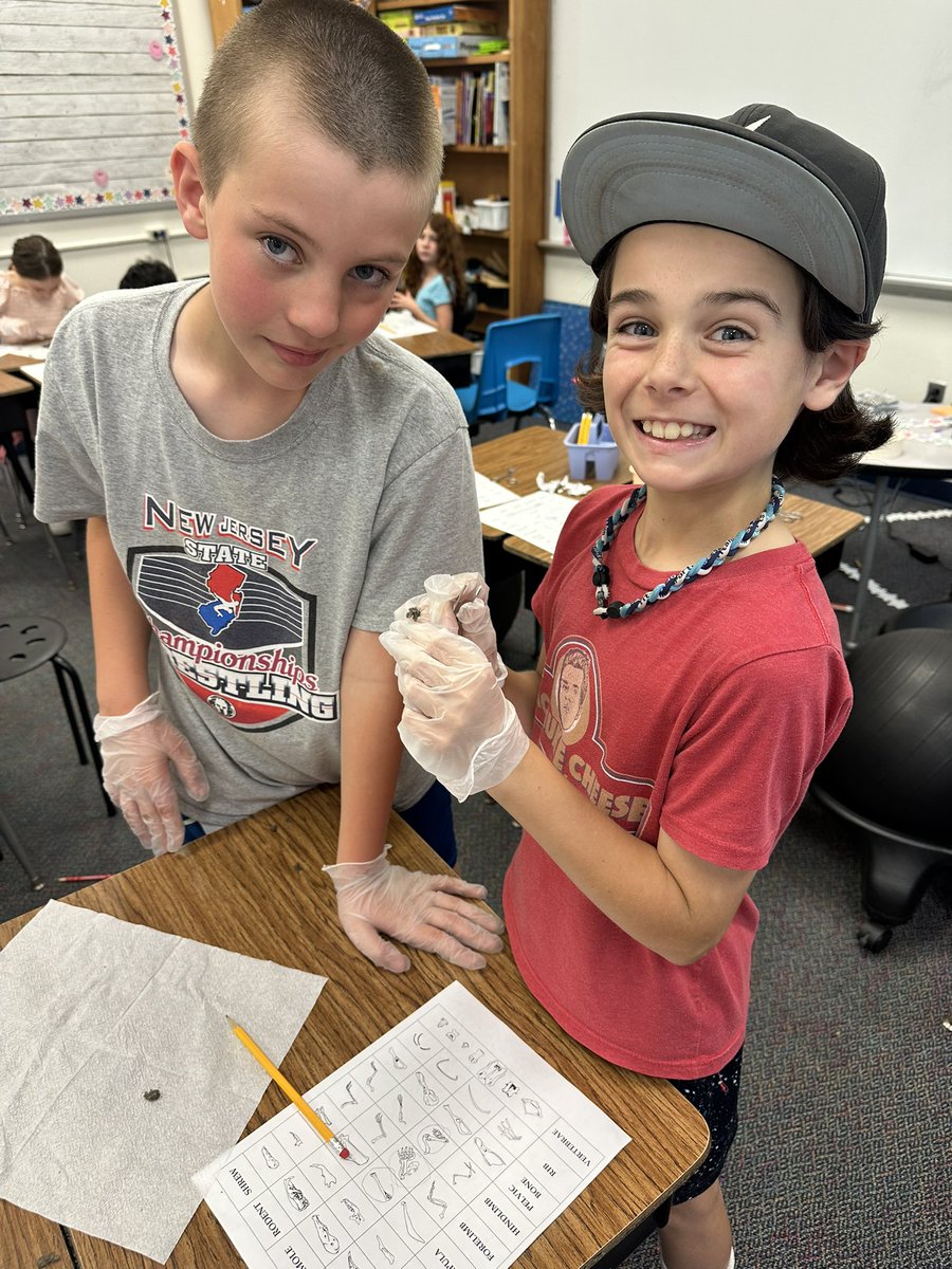 Dissecting owl pellets!