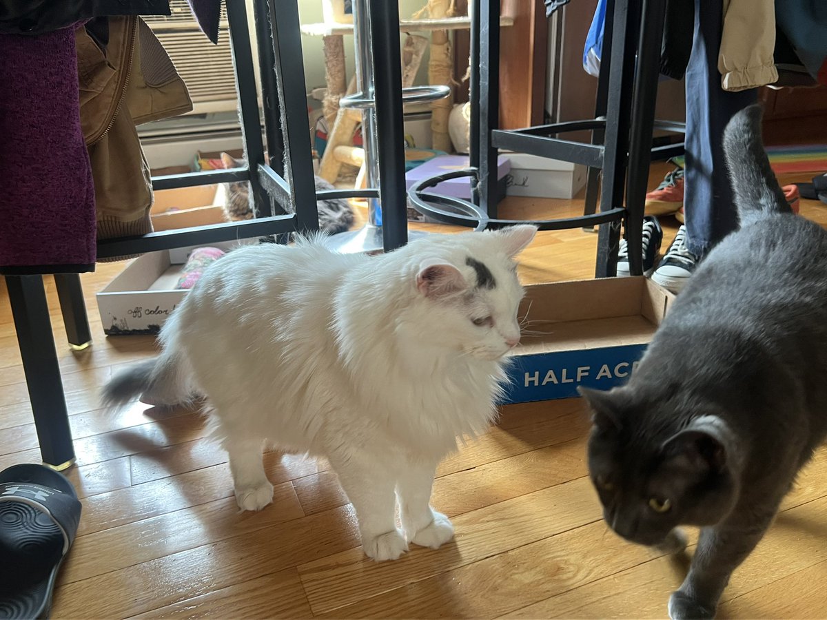 Floof like, yeah, keep walking, puff. You don’t want none.