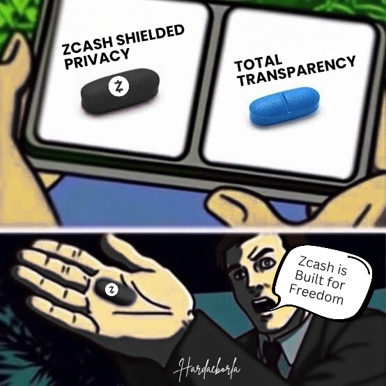 ZcashNigeria's tweet image. Zcash is freedom because true financial freedom means having the power to control your own money, your own data, and your own privacy. Choose wisely 🛡️💸
 #Zcash #PrivacyIsFreedom #Web3 #Crypto #Meme #Zeme