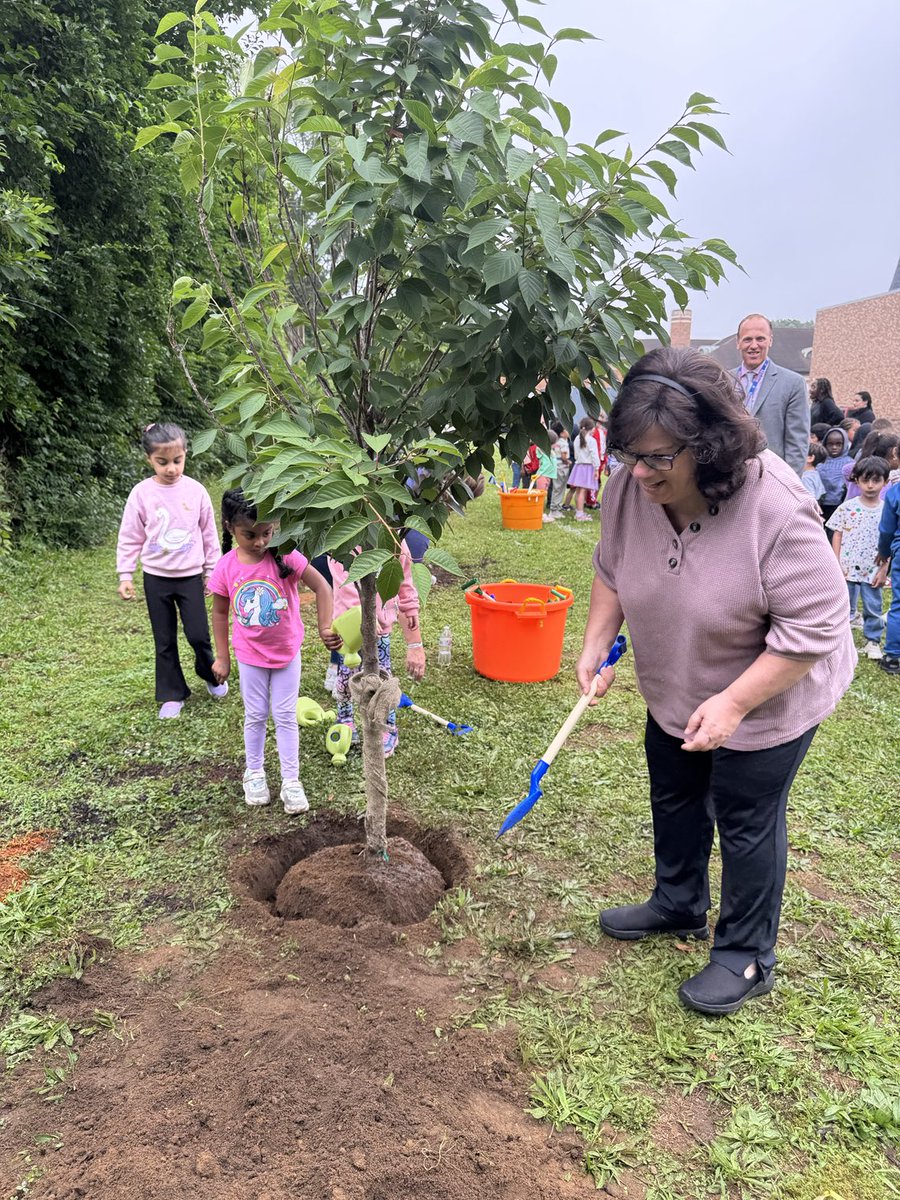 Lorna R. Lewis tweet media