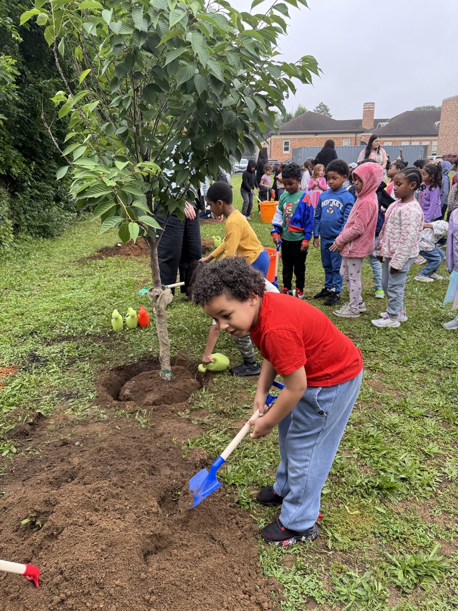 Lorna R. Lewis tweet media