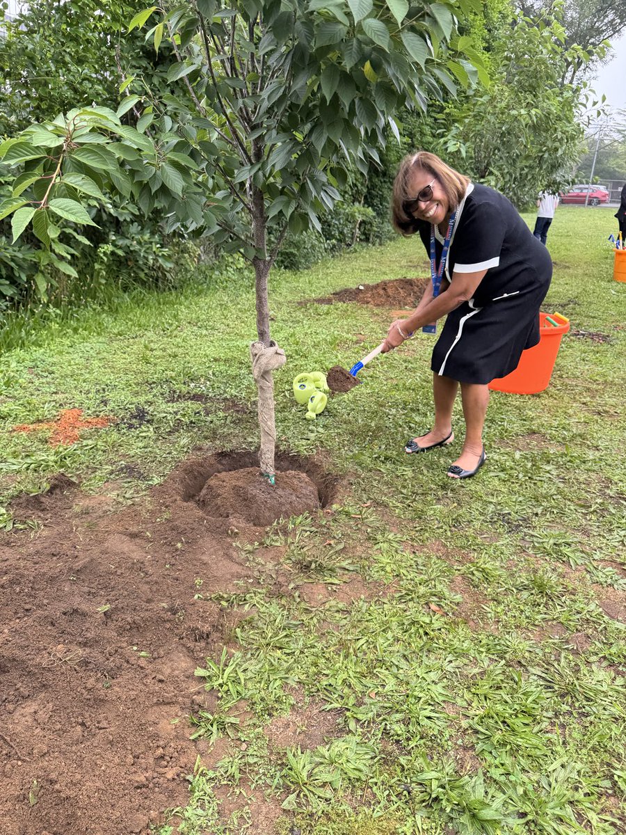 Lorna R. Lewis (@supt4kids) on Twitter photo Joining the K class to plant trees for the future β¦<a href="/MWDPrimary/">MWDPrimarySchool</a>β© β¦<a href="/MalverneUFSD/">Malverne UFSD</a>β© Joining the K class to plant trees for the future β¦<a href="/MWDPrimary/">MWDPrimarySchool</a>β© β¦<a href="/MalverneUFSD/">Malverne UFSD</a>β©