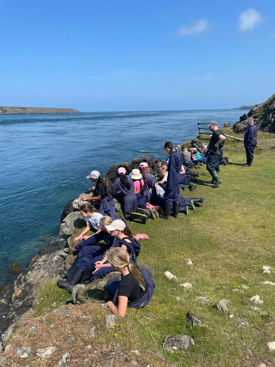 St George's CE Primary School (@stgeorgeskent) on Twitter photo Wow, wow, wow. What a view <a href="/Treginnis_FFCC/">Lower Treginnis - Farms for City Children</a> #FarmersForAWeek ❤️ Wow, wow, wow. What a view <a href="/Treginnis_FFCC/">Lower Treginnis - Farms for City Children</a> #FarmersForAWeek ❤️
