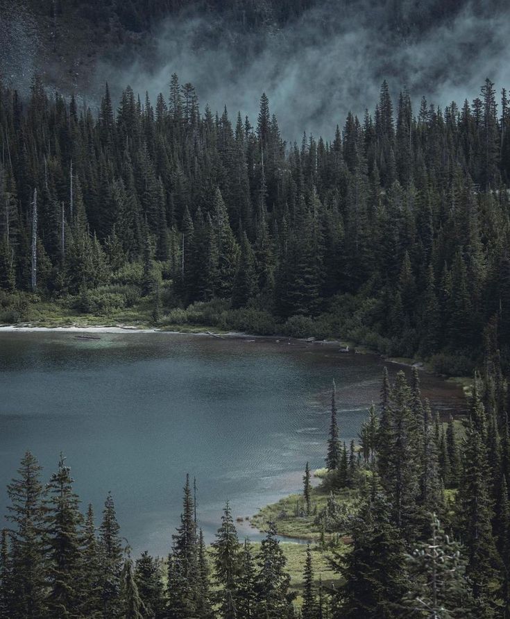elemmiressoul's tweet photo. tranquility.🖤 https://t.co/Ih3IPGQqRb