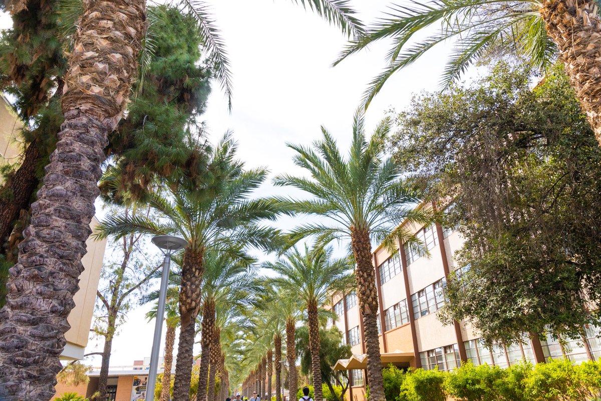 SunDevilBeachVB's tweet image. The place to be 😍

#ForksUp