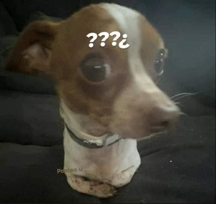 *Un niño me pregunta de que voy a trabajar con la carrera que estudie*

Yo: