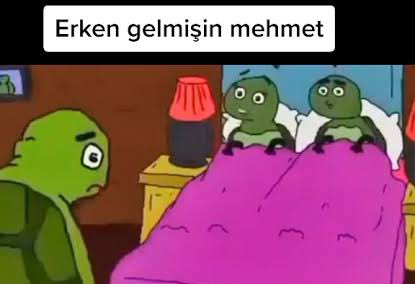 irem (@1remgunal) on Twitter photo 