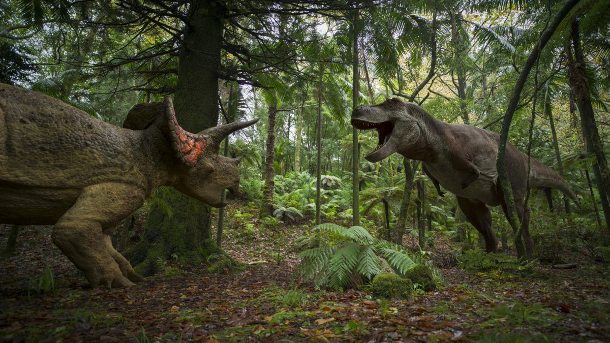 ANIMATIONWorld's tweet image. From Fossil to Frame: #LolaPost Reimagines #WalkingWithDinosaurs - #BBCStudios Science Unit’s six-part series was created in collaboration with the #VFX studio, who crafted 791 #visualeffects shots including complex environments and 21 unique dinosaur species.…