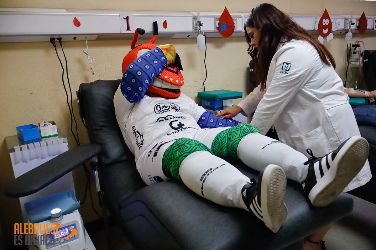 Alebrijes Oaxaca (@alebrijesoaxaca) on Twitter photo 🩸👊🏼| El pasado 14 de junio conmemoramos el #DíaDelDonante junto a nuestros amigos del <a href="/IMSS_Oaxaca/">IMSS OAXACA</a> e hicimos un llamado a la población para seguir fomentando la donación voluntaria y altruista de sangre.
#AlebrijesEsOaxaca💚🖤🧡 🩸👊🏼| El pasado 14 de junio conmemoramos el #DíaDelDonante junto a nuestros amigos del <a href="/IMSS_Oaxaca/">IMSS OAXACA</a> e hicimos un llamado a la población para seguir fomentando la donación voluntaria y altruista de sangre.
#AlebrijesEsOaxaca💚🖤🧡