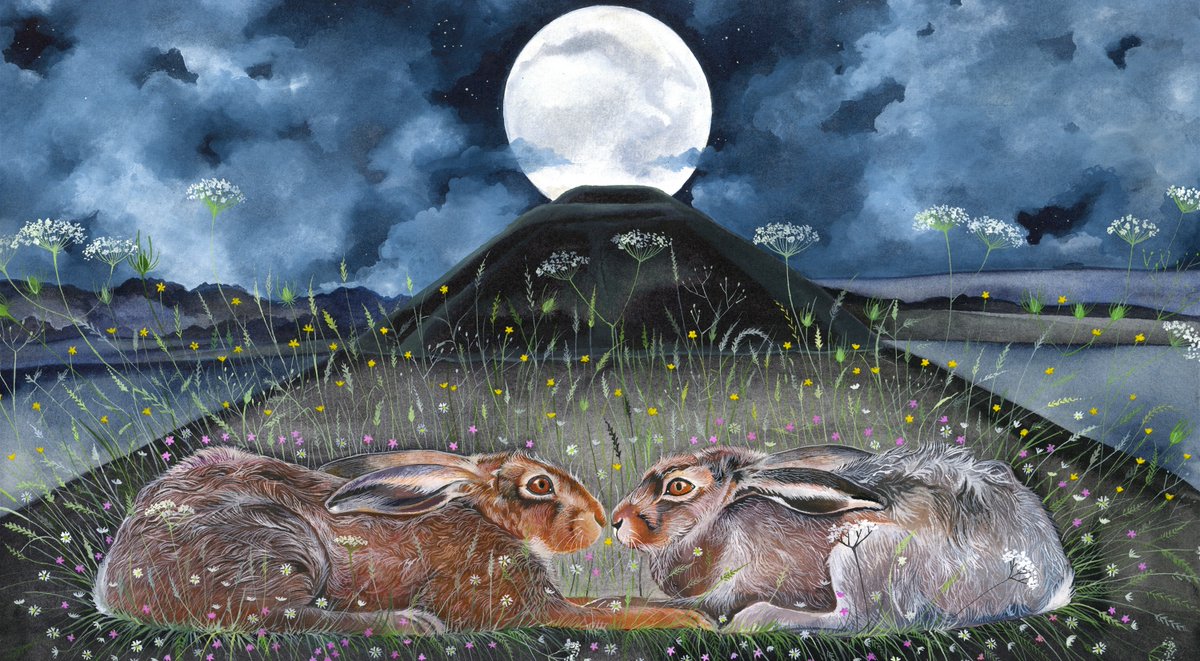 Sam Cannon Art tweet media