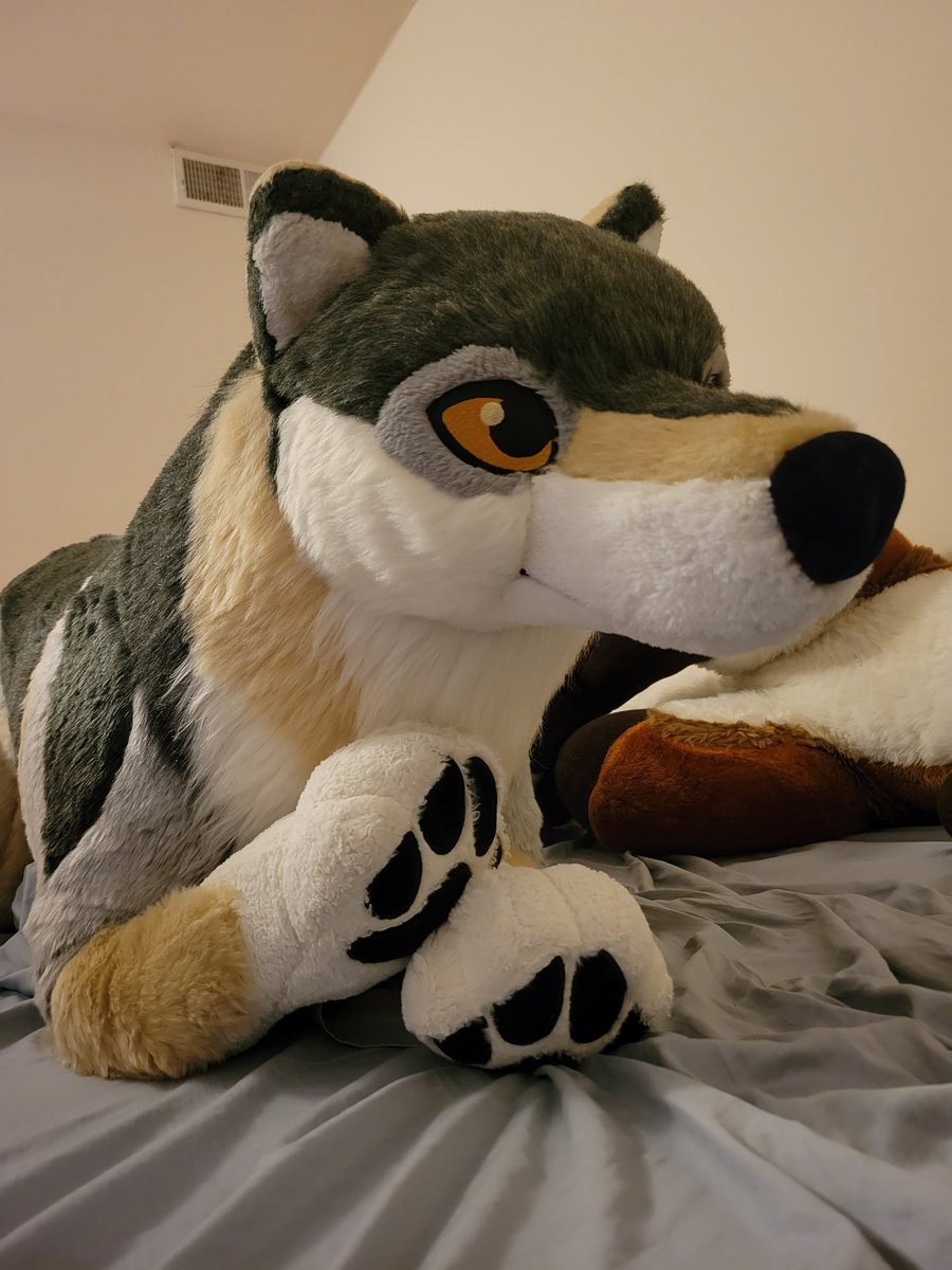 A very, very special wuff 💙
<a href="/PlushLife_eu/">PlushLife</a>