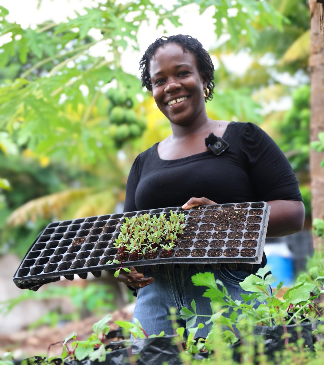 #YIA Jennel  Jennel proudly runs her own seedling nursery—Green Fingers Enterprise, located in Belair, St. Andrew.

She specializes in a wide variety of seedlings and is making strides as one of the young people getting certified in Agriculture Entrepreneurship 👩🏽‍🌾🌱

🇬🇩💚