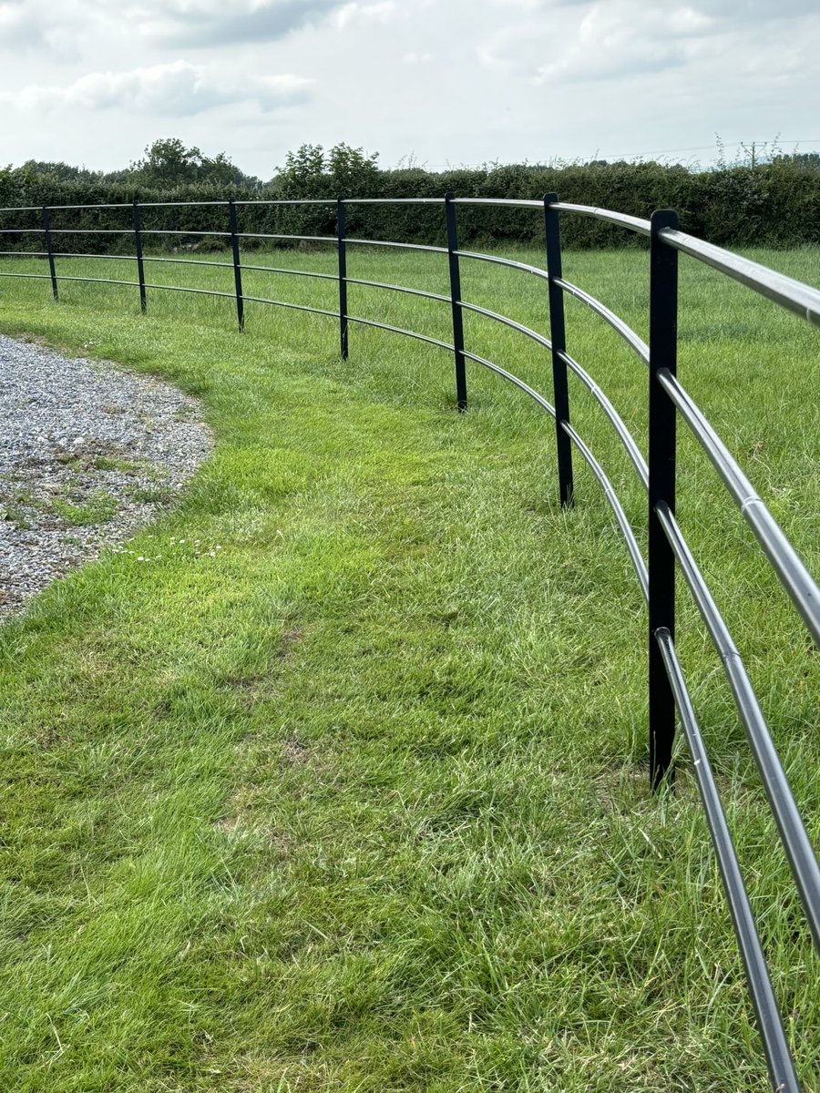 Lynch Fencing tweet media