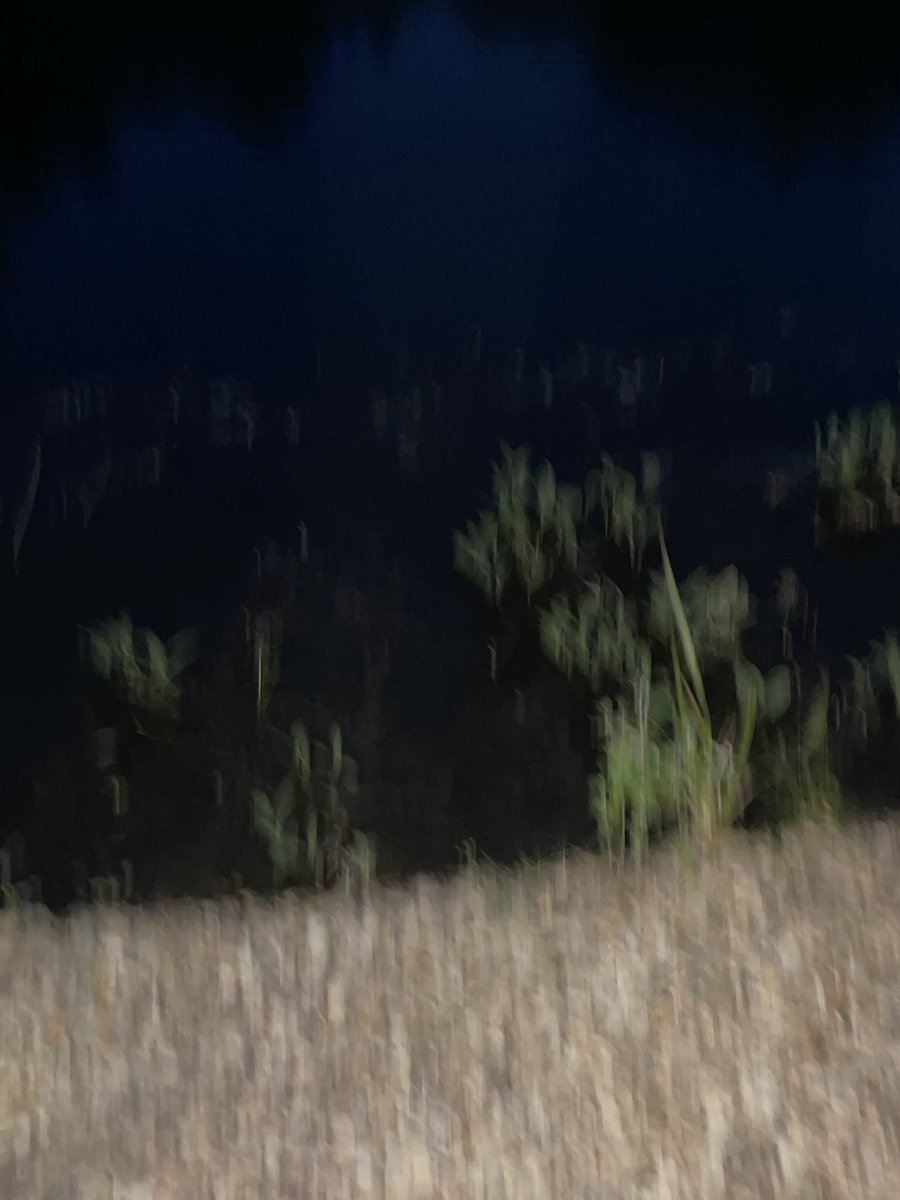 lyn (@lyn93409141) on Twitter photo 