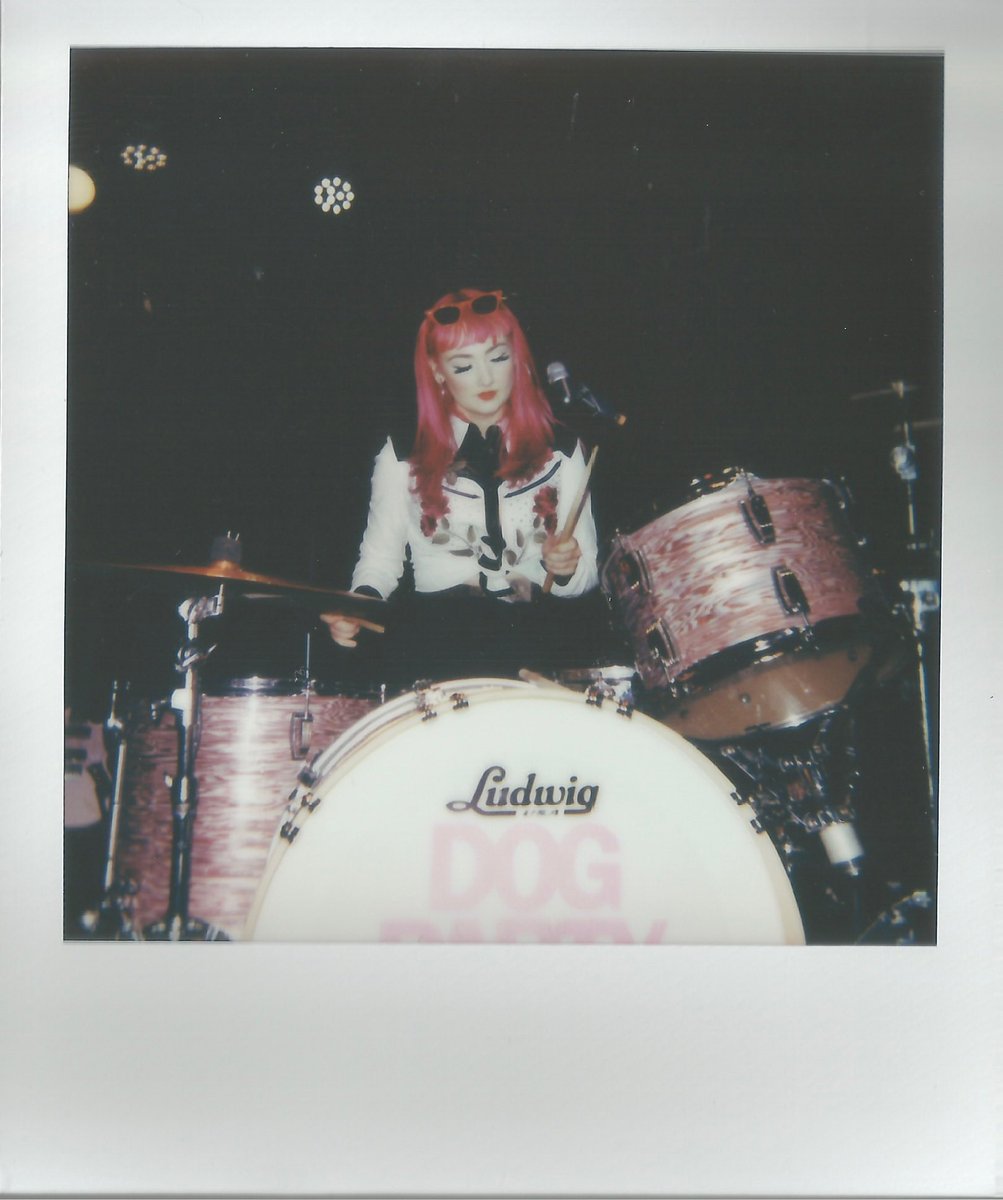 Dog Party tweet media