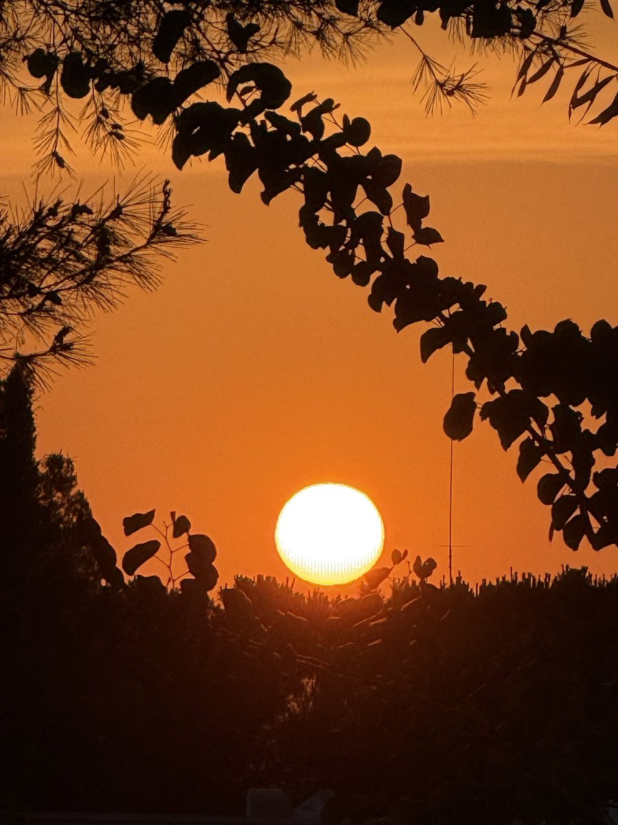 Mireu avui, quina meravella! 
Crec que la posta de sol m’espera quan surto de la feina…😍😍