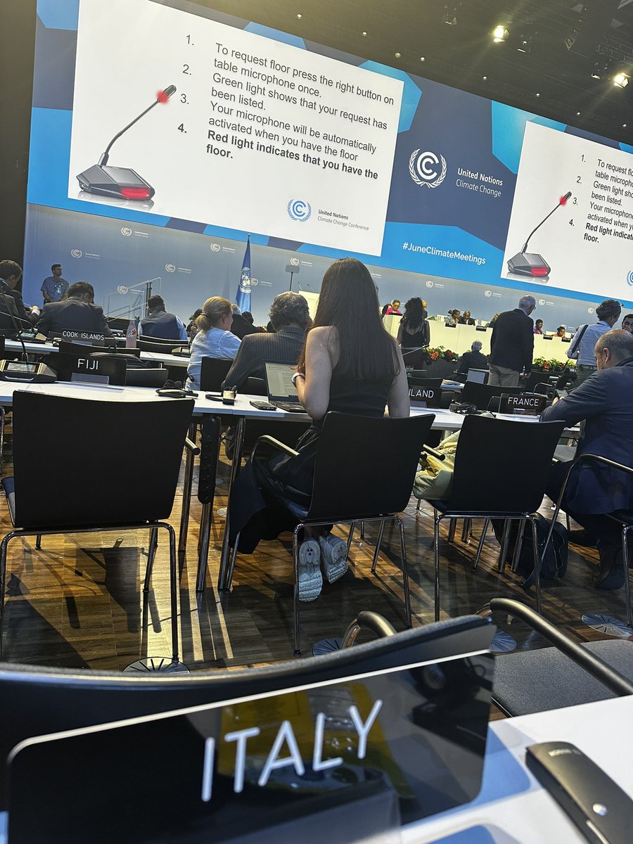 Back in Bonn, back to the sbi/sbsta, back to the discussion on adoption of the agenda…or not…