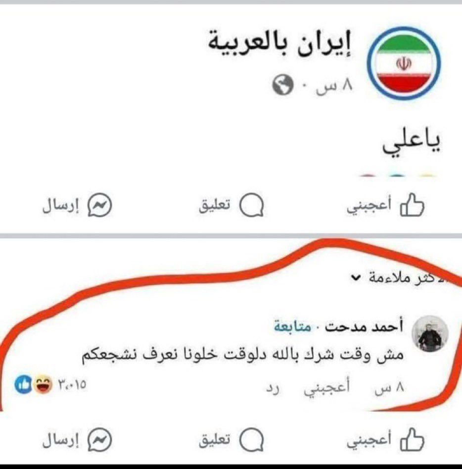 مفيش فايده