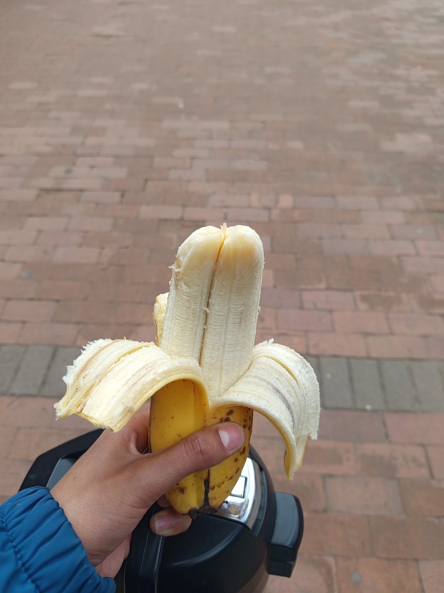 Erika_Sofiaaaa's tweet photo. Usted cree que la vida es un banano🍌

No, pero podría seer. https://t.co/LWkAA991xd