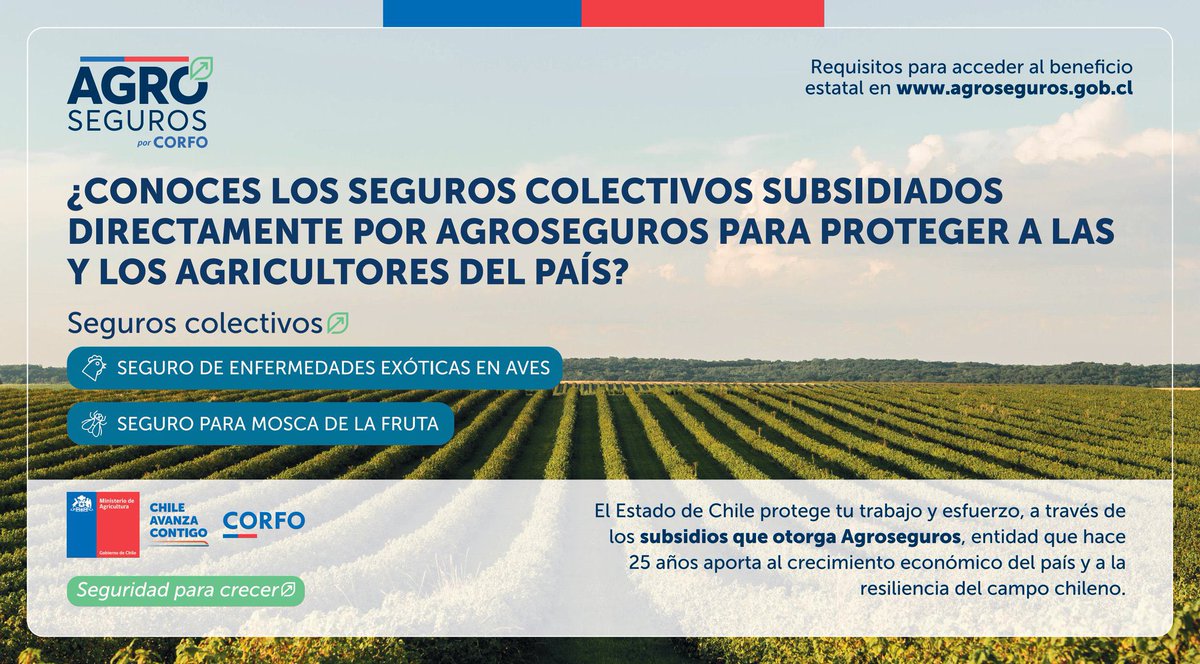MinagriCL's tweet photo. ⚠️Atención agricultor y agricultora ⚠️

📢¡Infórmate ahora! 
Conoce los seguros colectivos subsidiados por Agroseguros:

🔹Seguro de Enfermedades Exóticas en Aves 🐓🦃🪿➡️https://t.co/W6J9TSVr4P

🔹Seguro Catastrófico para Mosca de la Fruta 🪰➡️https://t.co/WkMh7V4CU7 https://t.co/CLPaxDGw8d