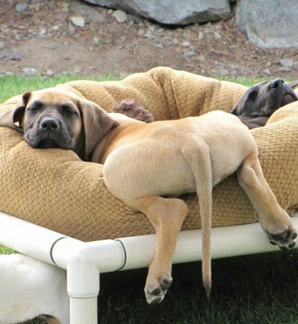 Sam 😇..why you following me, what you want 😉 tweet media