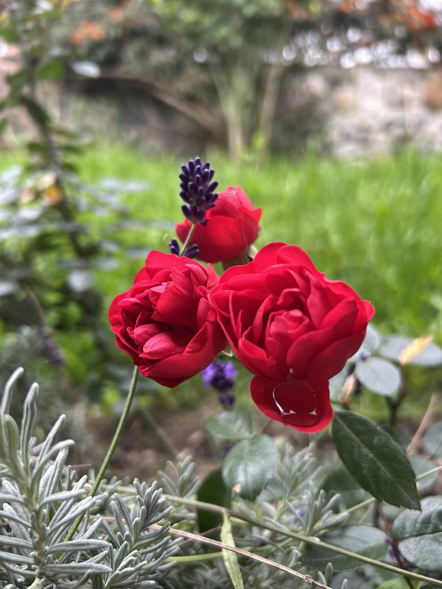 Agradecer acomoda el corazón. 
Abro y cierro mi día con una oración. Me conecto con Dios, con el todo y agradezco por la vida y la oportunidad de servir, desde mi trinchera, a mi patria y a mi gente 🌱🥰  

Agradezco por mis padres y mi hermana, que son la luz de este corazón