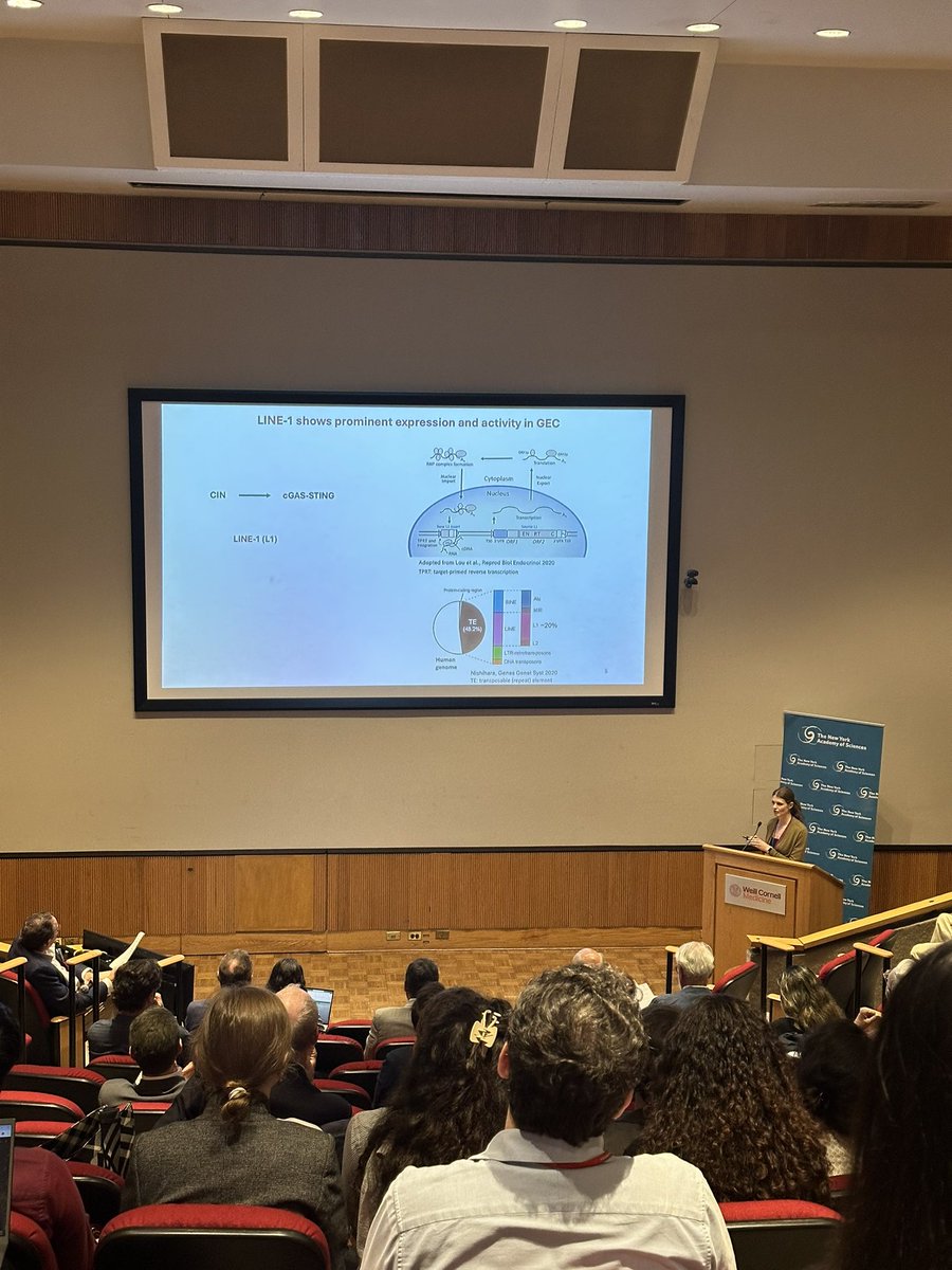 SU2Cscience's tweet image. Wonderful talk at @NYASciences #cancerimmunotherapy conference by Anca Apavaloaei from @WeillCornell describing novel targets for #gastroesophageal cancer, including LINE-1.