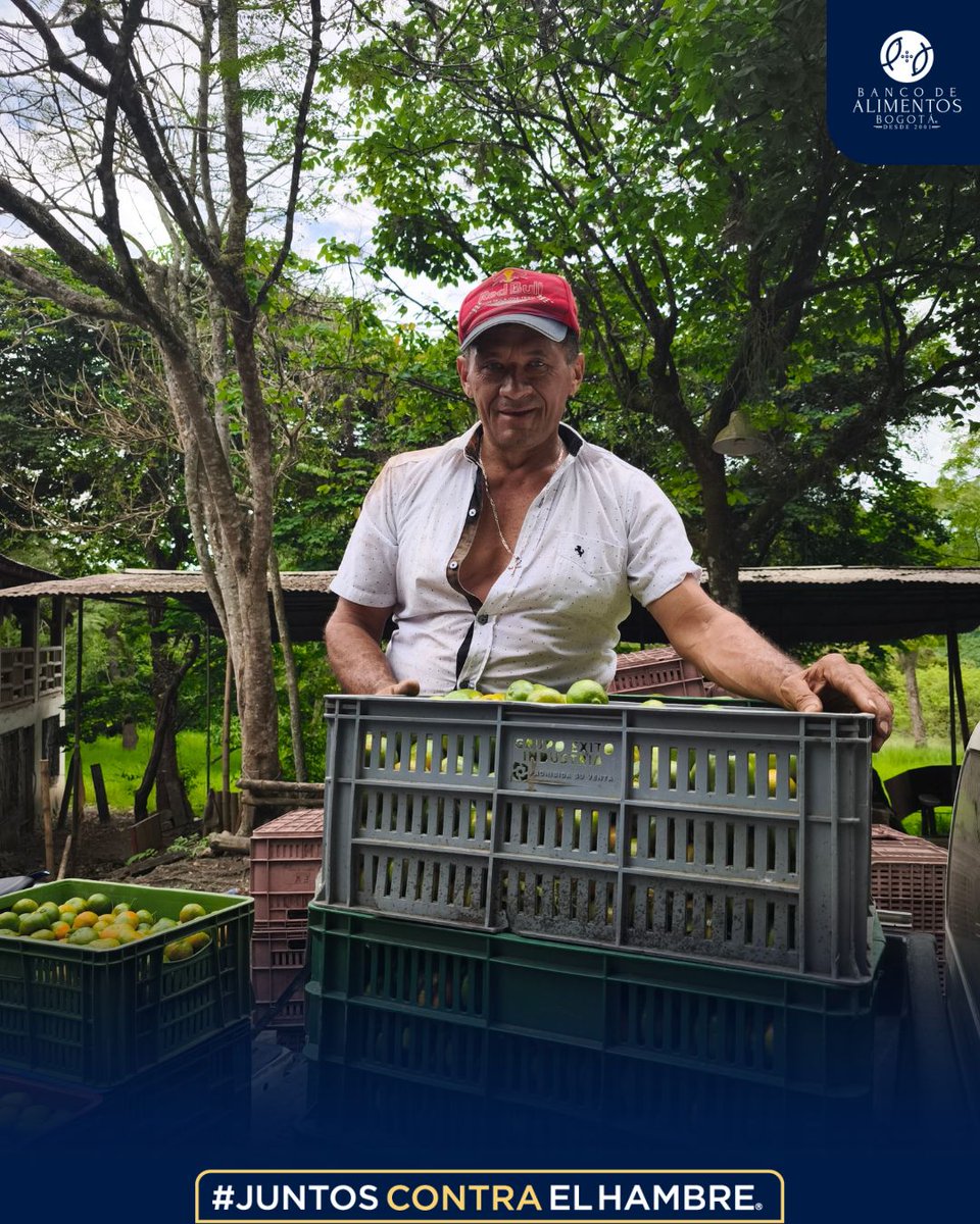 🌾No solo llevamos alimentos a quienes más lo necesitan, también honramos el esfuerzo de quienes, con sus manos, hacen posible que lleguen a nuestras mesas.

👉 Súmate en bancodealimentos.org.co

#JuntosContraElHambre #ElCampoNosAlimenta