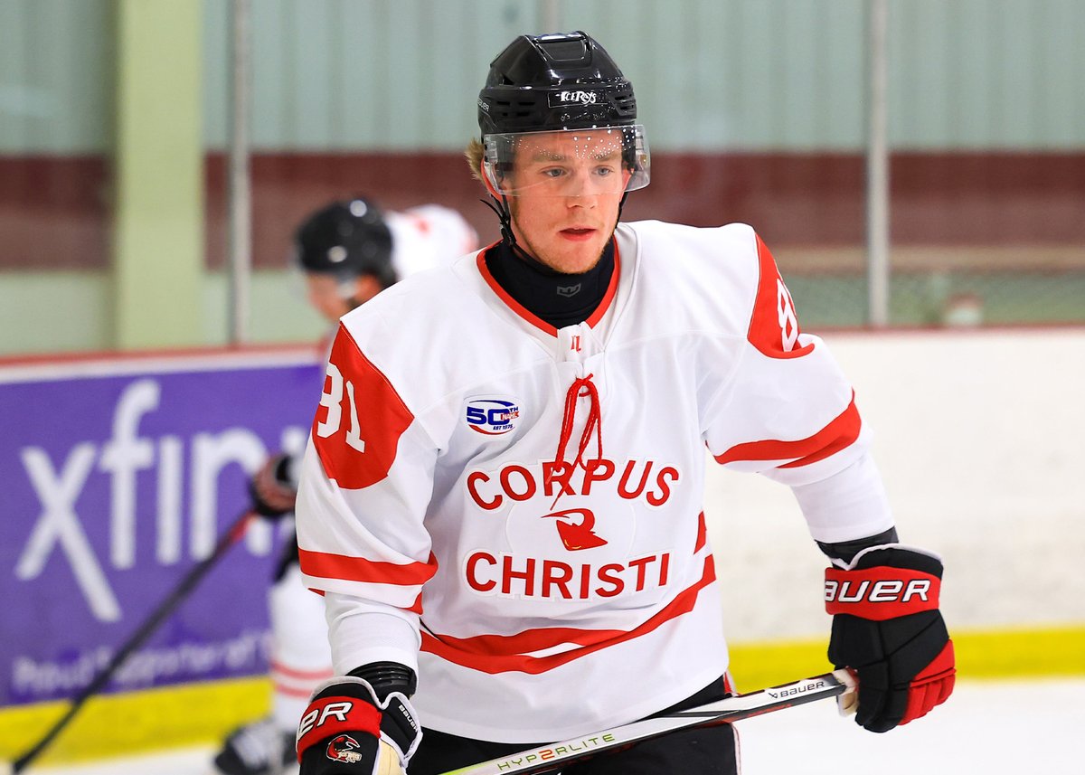 #NAHL Commitment Alert: <a href="/iceraysnahl/">Corpus Christi IceRays</a> defenseman, Andrew Hayek, has committed to play NCAA hockey for <a href="/UWECHockey/">Blugold Hockey</a>.

📰: nahl.com/news/story.cfm…