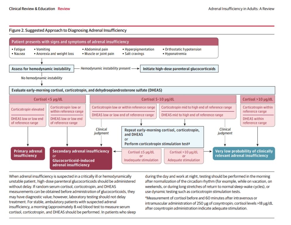 giorg_kyriakos's tweet photo. 📌#Adrenal insufficiency: a comprehensive clinical update just published in @JAMA_current.

🧠 Pathophysiology
🔍 Diagnosis (cortisol, ACTH, DHEAS)
💉 Treatment &amp; stress dosing
📊 See key figures below for practical insights

🔗 https://t.co/P7taD5Ilov
#EndoTwitter #MedTwitter https://t.co/vt6nltz56h