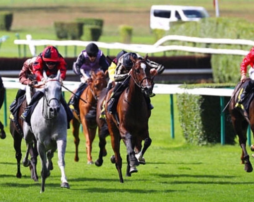 🌟100% 💴🌟 today at Compiègne🇫🇷:

- 🥉  #Vesco🐎- A. Fouassier
-  6️⃣ #Edoardo🐎 - Anneke Hendriks Racing Stables

Photo: <a href="/AprhChantilly/">Aprh</a> 

Agents:

Lisa Pauwels🇧🇪
<a href="/Benjhub/">Benjamin Hubert</a>🇫🇷