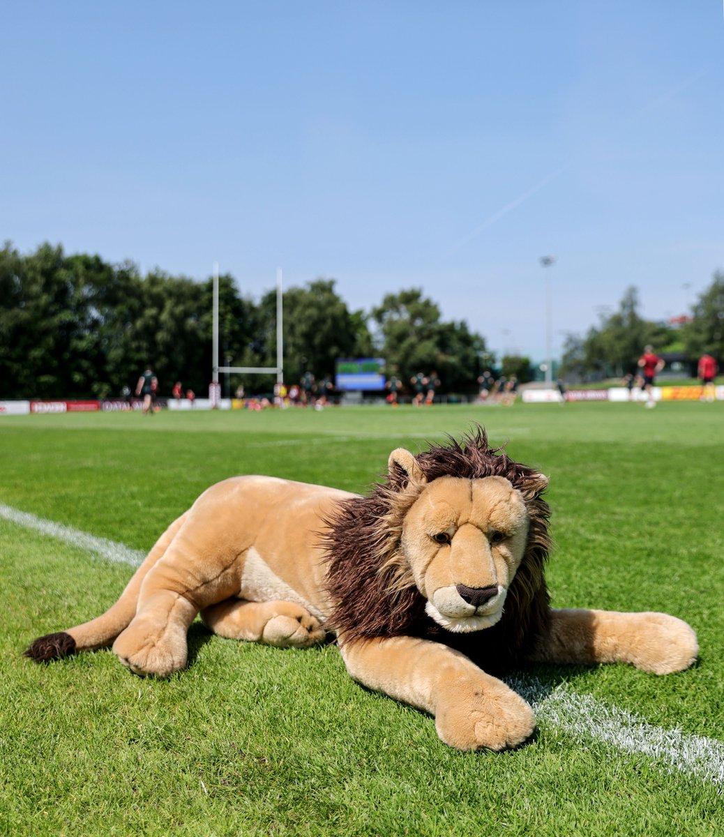 🏉ブリティッシュ＆アイリッシュ・ライオンズ 🇦🇷アルゼンチンと金曜