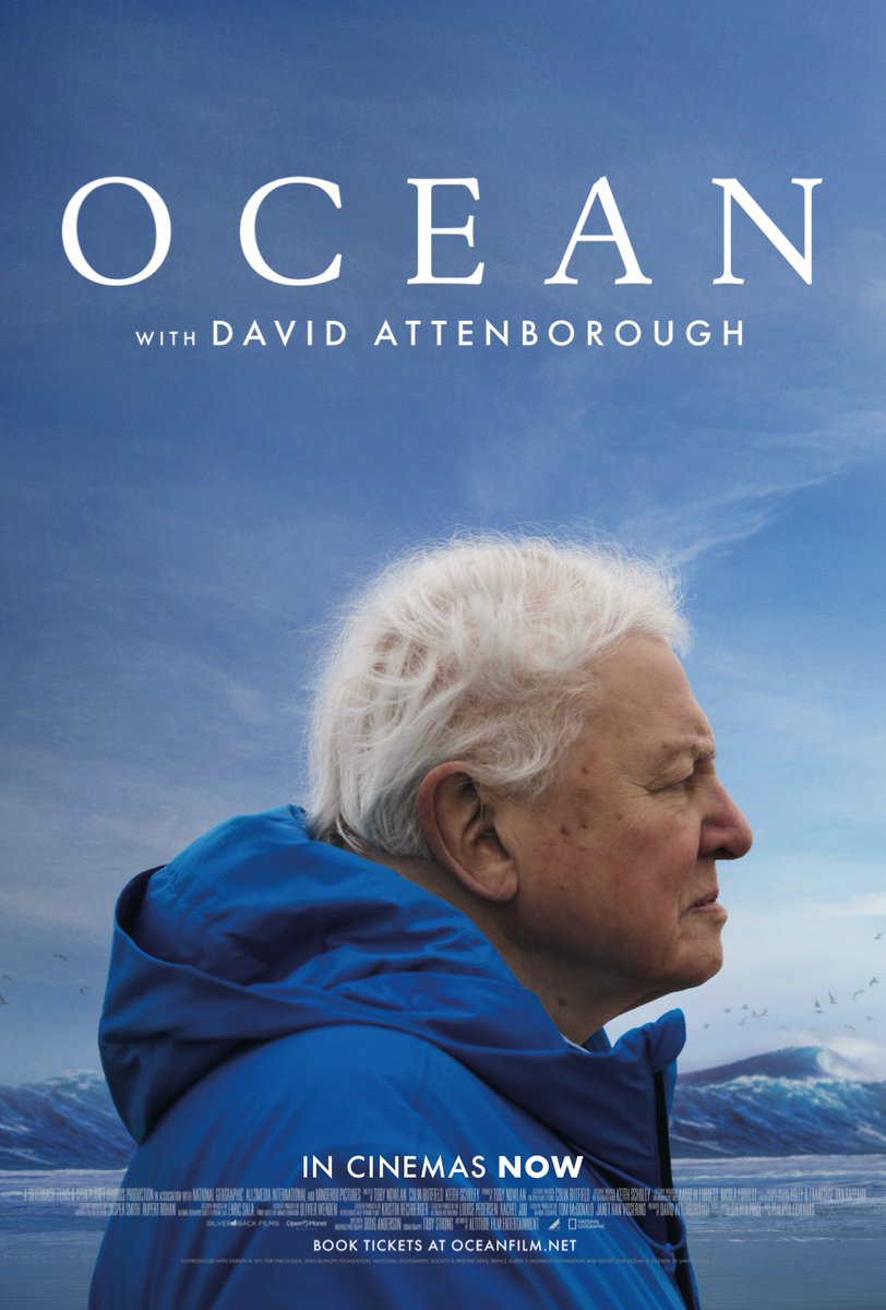 Gabriella Seiler, consultora do Serrapilheira, recomenda o documentário “Oceano com David Attenborough”. O cineasta expõe as realidades e os desafios que nossos mares enfrentam e aponta histórias inspiradoras para transmitir sua maior mensagem: o oceano pode se recuperar. “Uma