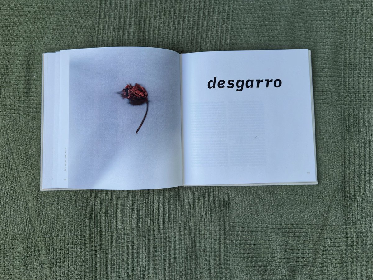 las veces que morí
Un libro que nace del duelo, la memoria y el amor. Mi Trabajo Final de Máster, convertido en un libro de artista donde cada imagen, cada palabra, reconstruye lo perdido.
Diseñé cada página como quien acaricia una herida: con cuidado, con lágrimas, con verdad.