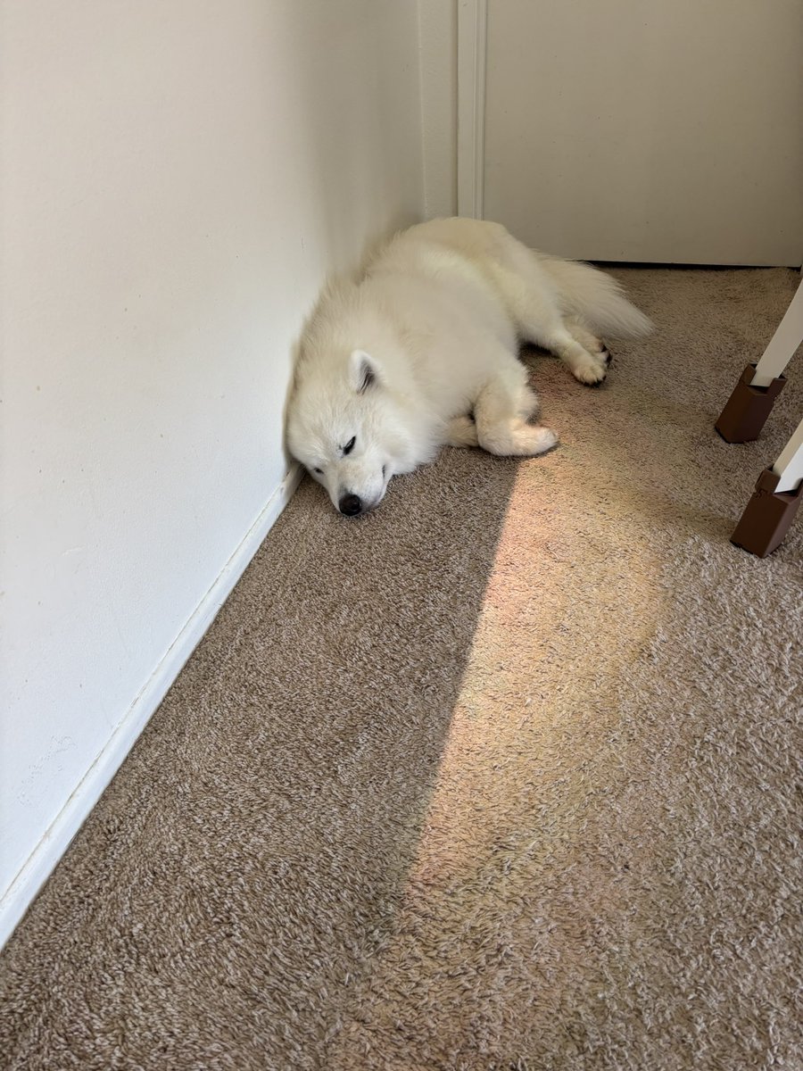 So relaxed to be back at home 😭