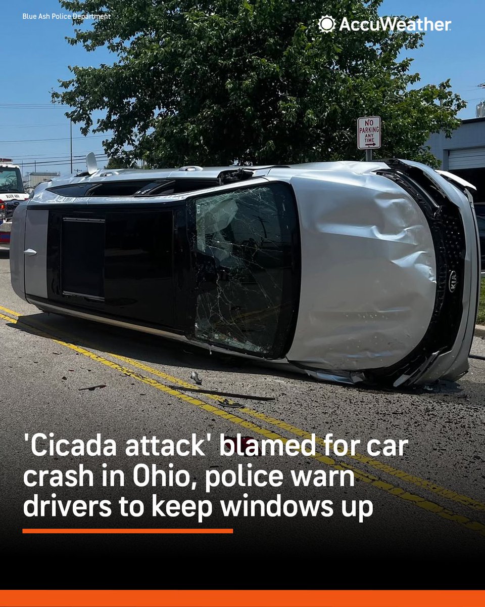 "Cicada attack" 😲 A startled Ohio driver lost control and rolled his SUV last week after a cicada flew through an open window. bit.ly/43NSZJO